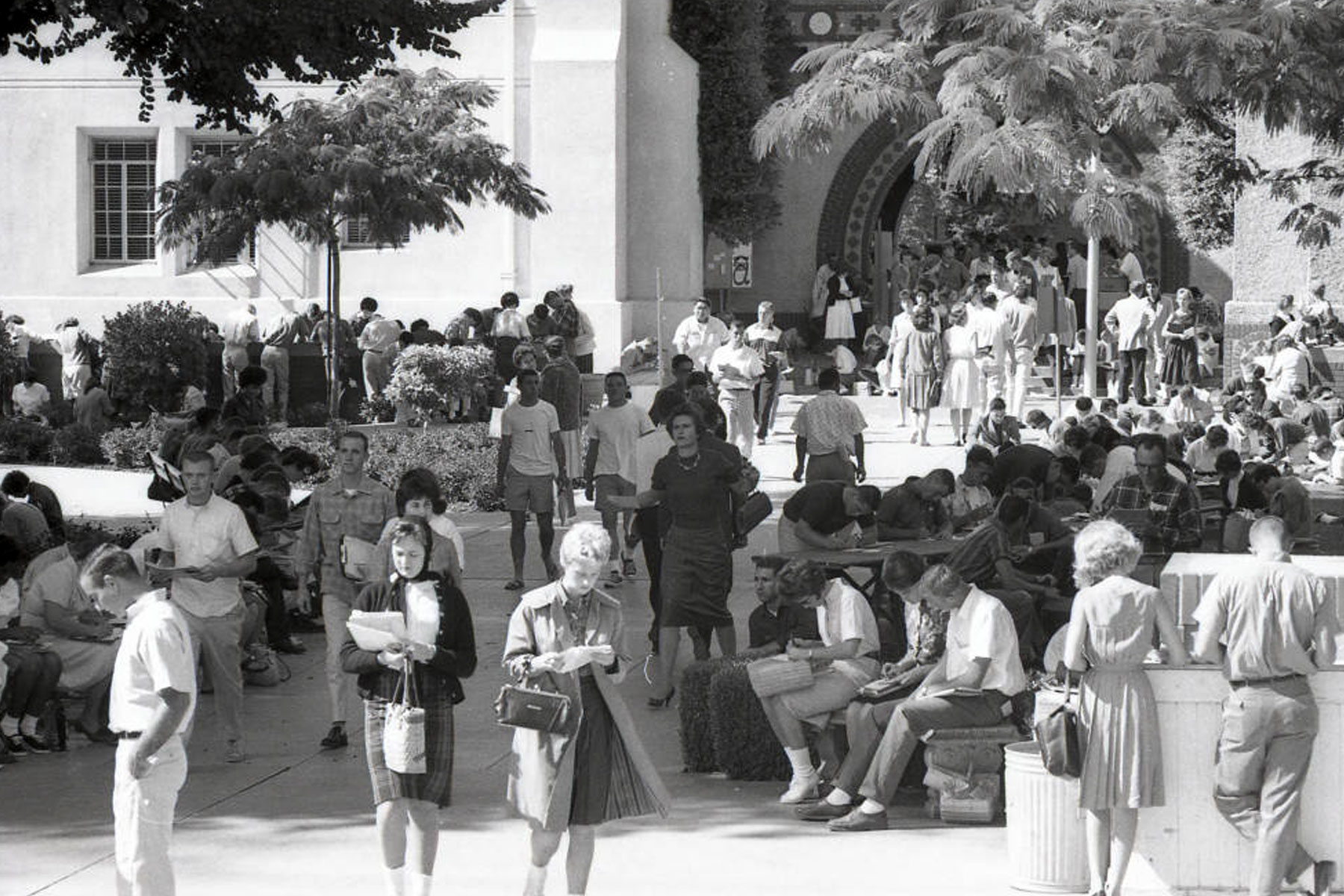 SJSU students gathered in the quad.