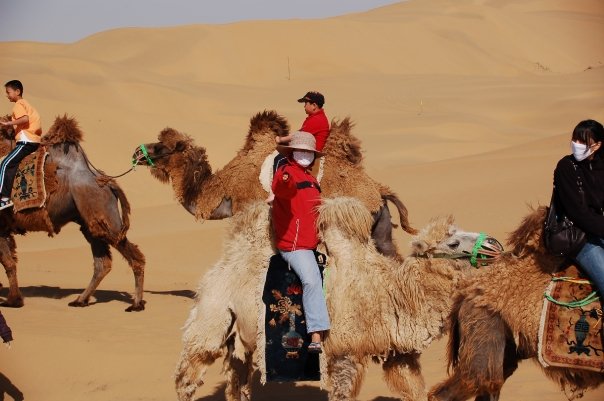 Woman on Camel, Inner Mongolia Woman on Camel, Inner Mongolia