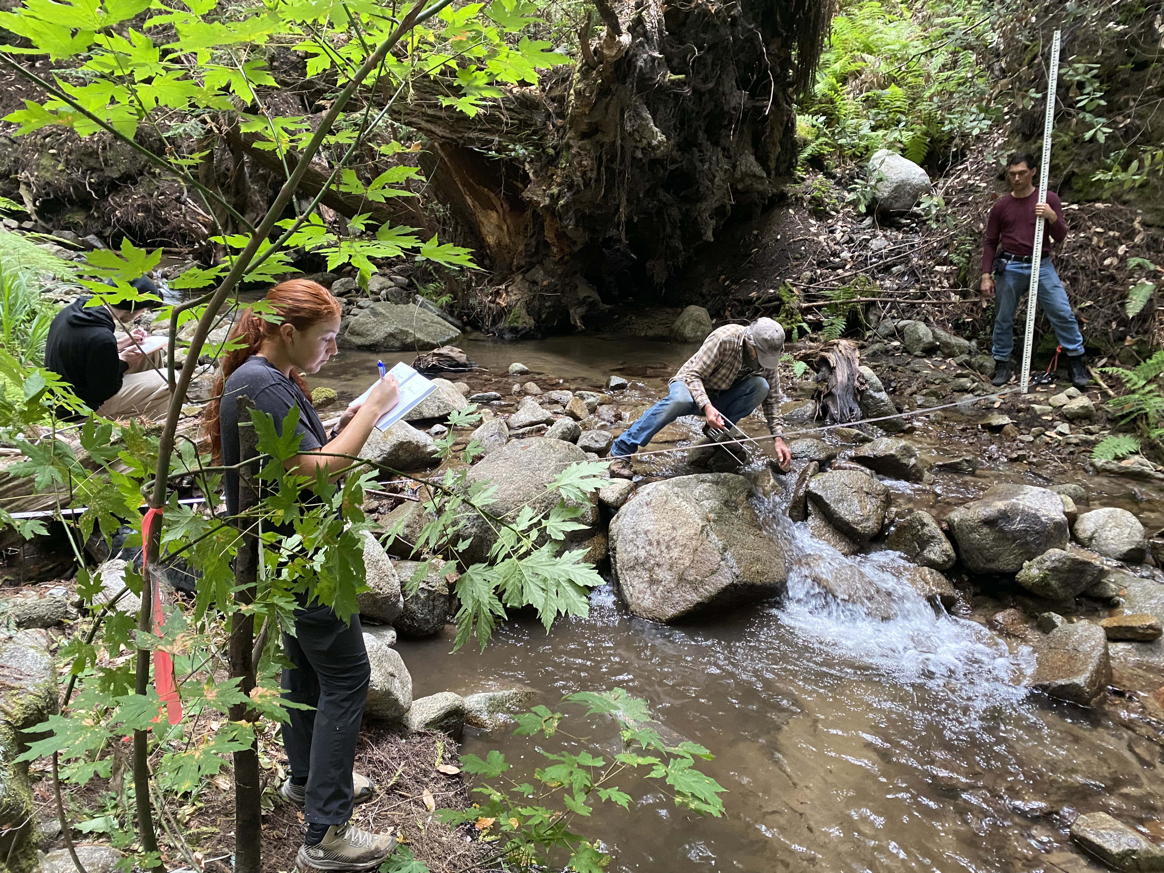 Four scientists are working along a creek.  Two scientists are taking measurements of rocks, and two are recording data.