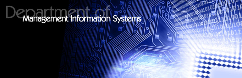 Department of Management Information Systems