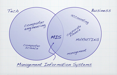 Corporate Information Systems on Department Of Management Information Systems   About Mis   San Jose