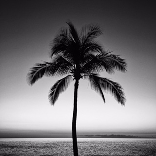 Scott  Phillabaum
