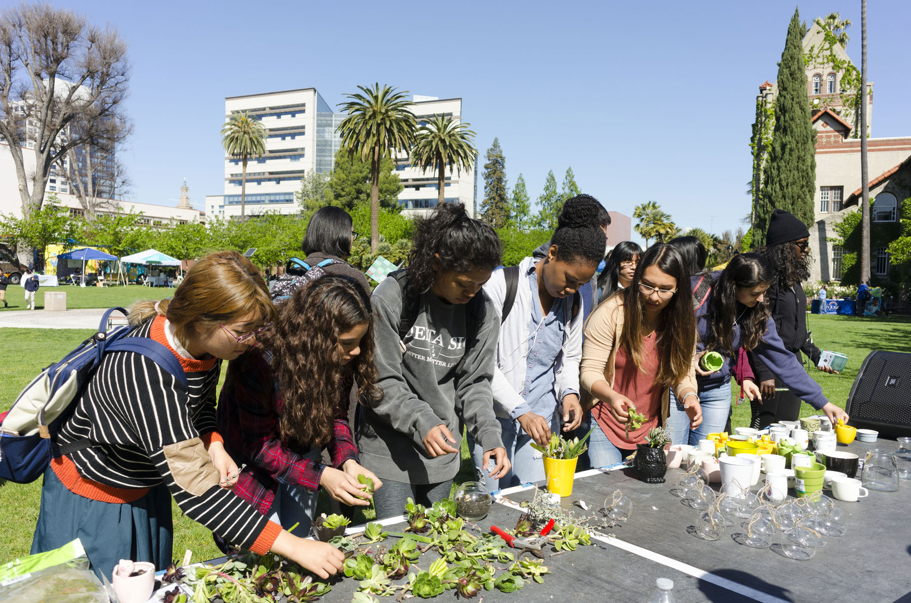 Students potting succulents