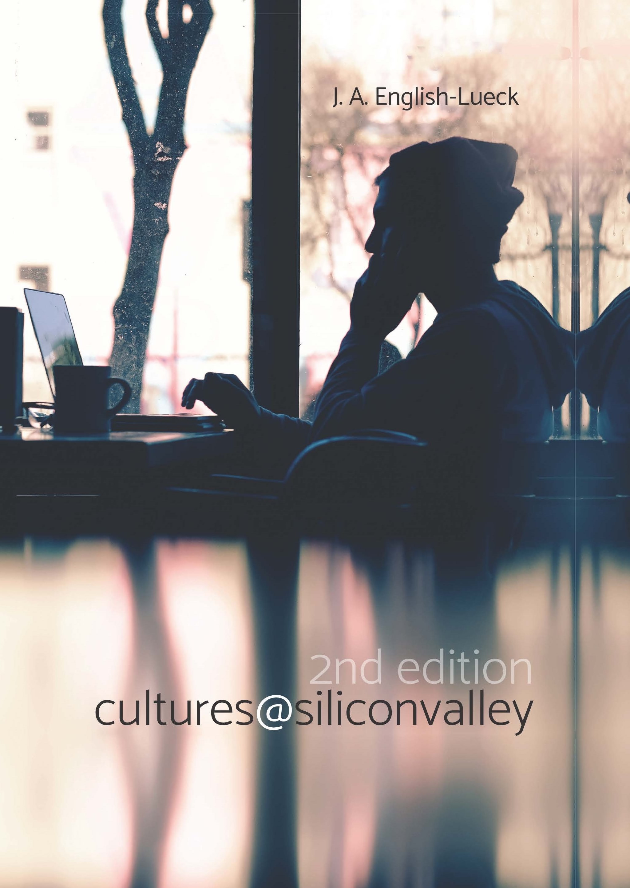 cultures@siliconvalley (2nd edition)
