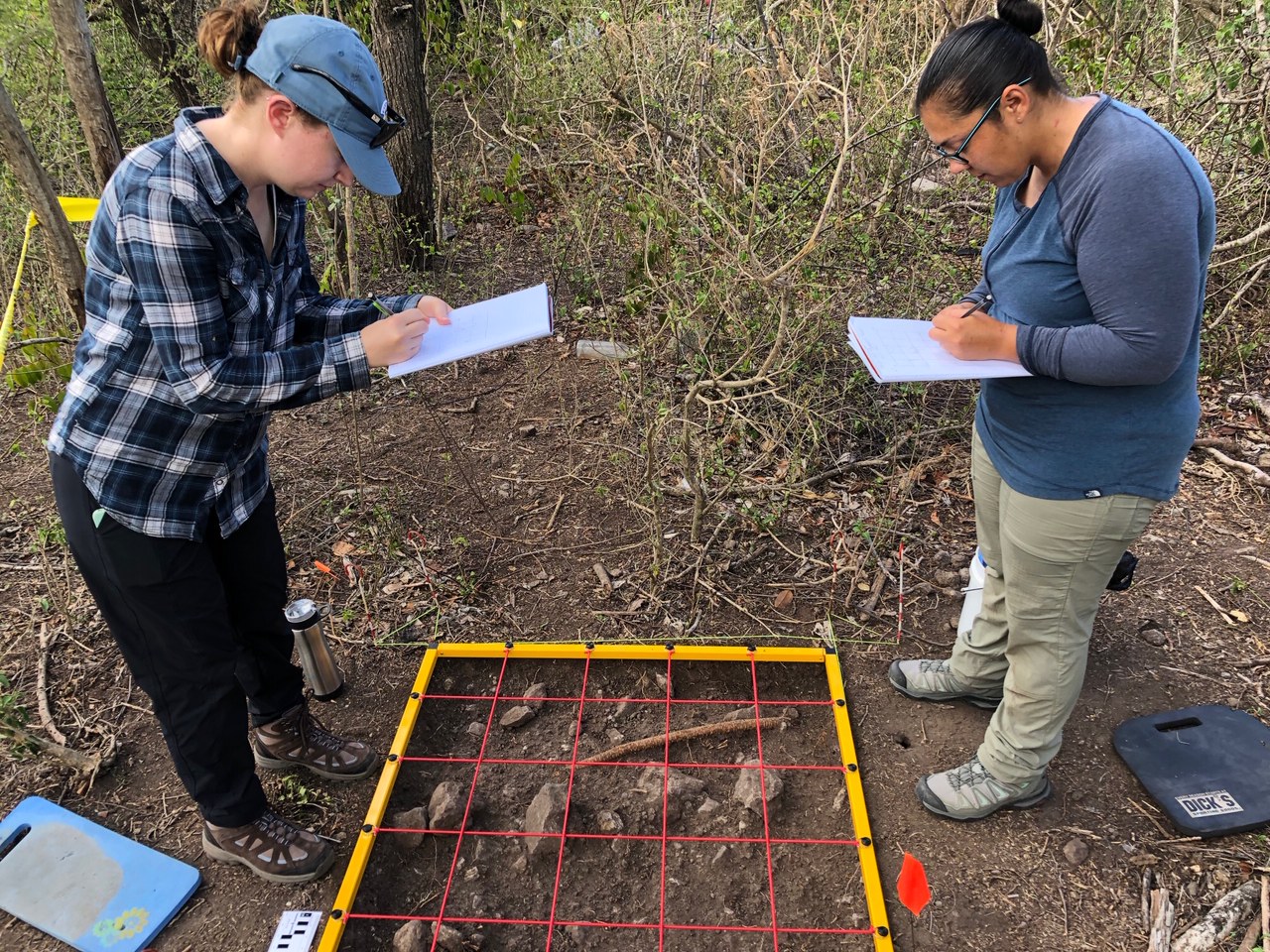 Two students working over a grid on the ground