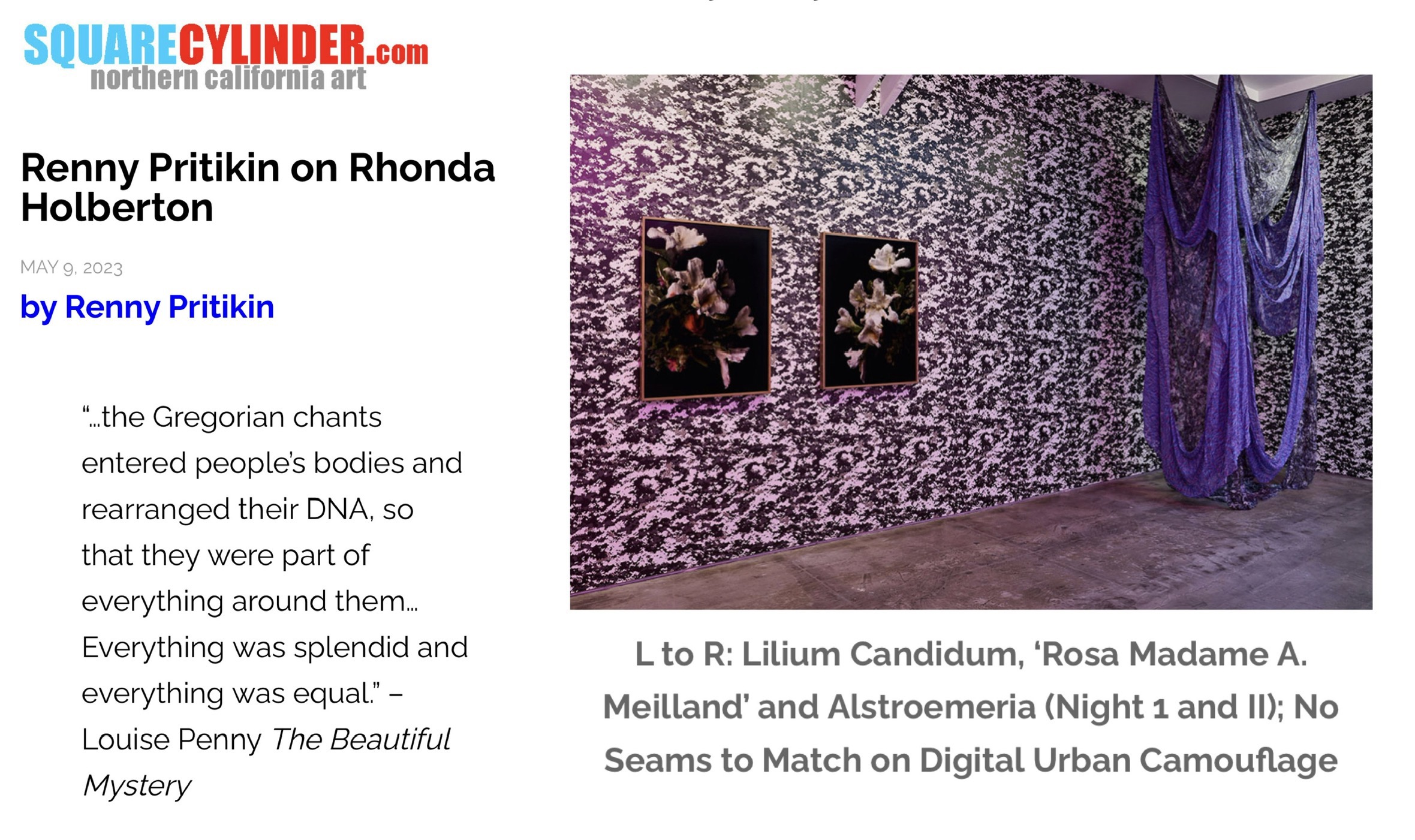Renny Pritikin reviews Rhonda Holberton’s exhibition at the San José Institute of Art in Square Cylinder & CULT Aimee Friberg Exhibitions