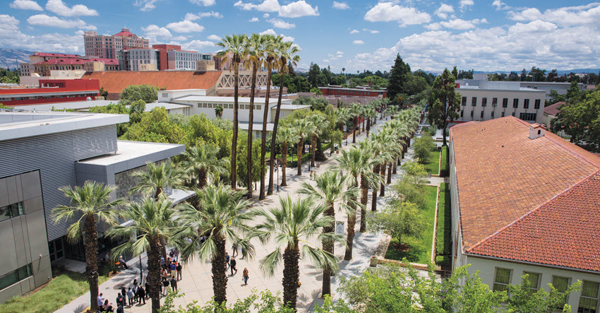 A high angle view of the main SJSU campus with a pathway lined by tall palm trees. 