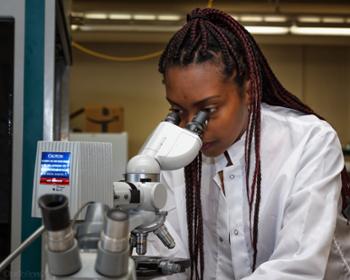 A biomedical engineering student looks into a microscope.