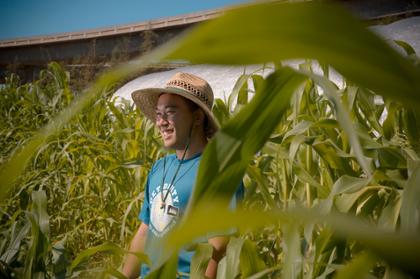 Student stands in corn field