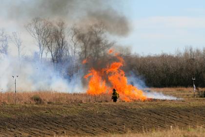 Firefighter walks through a blazing field