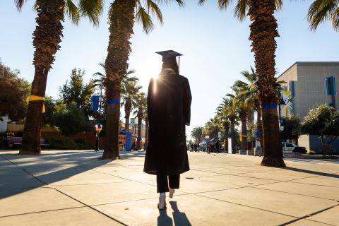 Graduate in regalia walking down the palm tree lined Paseo of SJSU with the sun beaming
