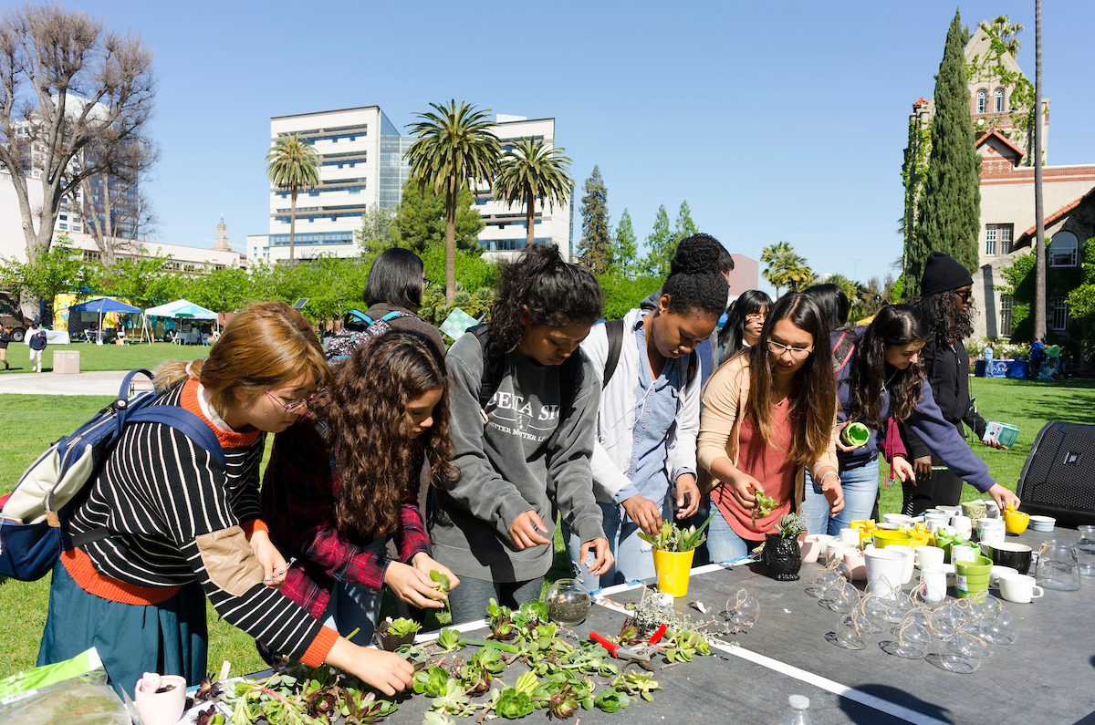Students select succulents to plant at an Earth Day booth.