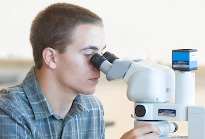 Person using a microscope.