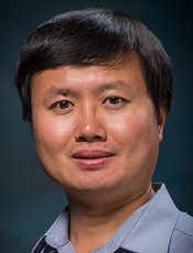 Professor Hiu-Yung Wong