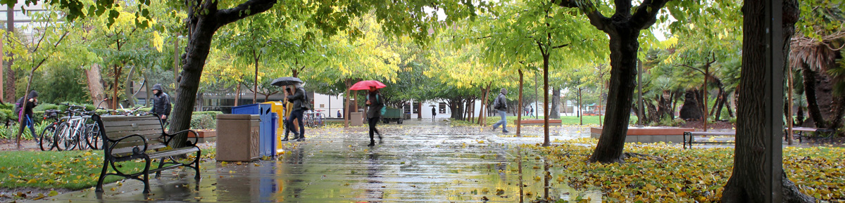 Students walking on campus in the rain.