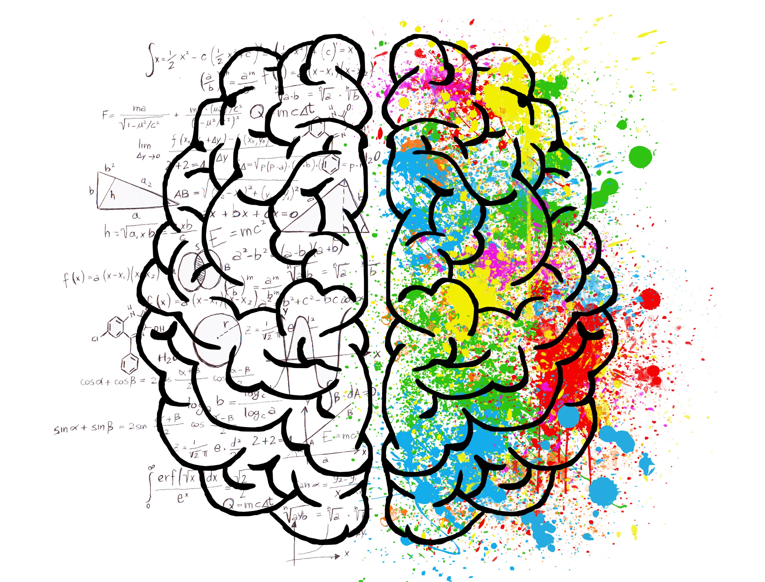 Artwork of two hemispheres of the brain