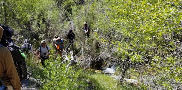 A group of students crossing a creek in the wilderness