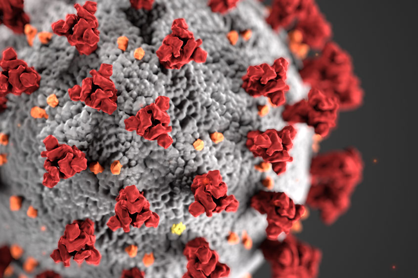 3D rendering of the Novel Coronavirus cell.