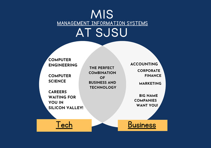 Venn Diagram business and technology intersection is MIS