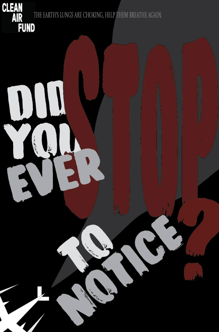 Meskerem Baikie Project