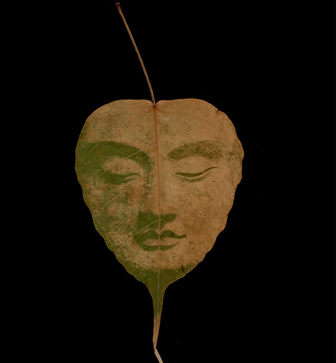 chlorophyll print of Buddha's face on a leaf by Binh Danh. photography, Vietnamese American artist