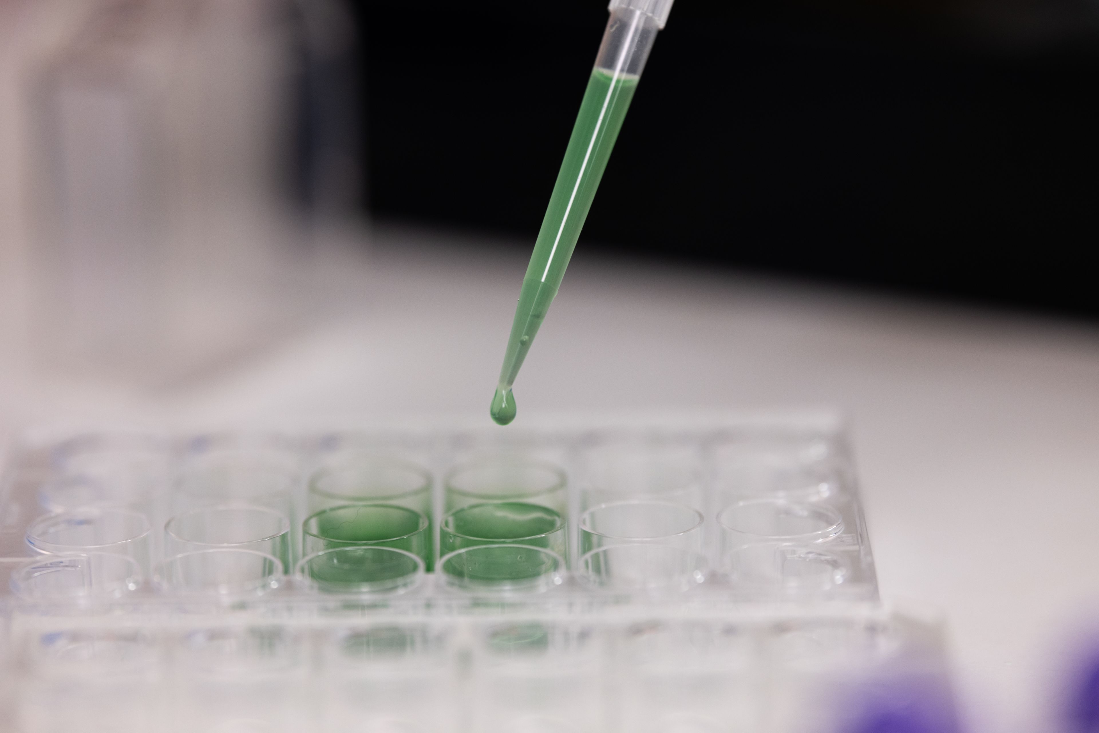 A sample being pipetted in a NASA lab, ASPIRE program, laboratory science, student research, SJSU