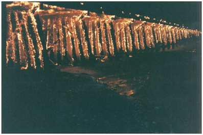 Timber Trestle on Fire 1998