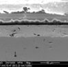scanning electron microscopy image