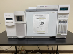 Gas Chromatography Mass Spectrometry (GCMS)