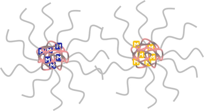 Cartoon of transition metal catalysts embedded in separate star polymers.