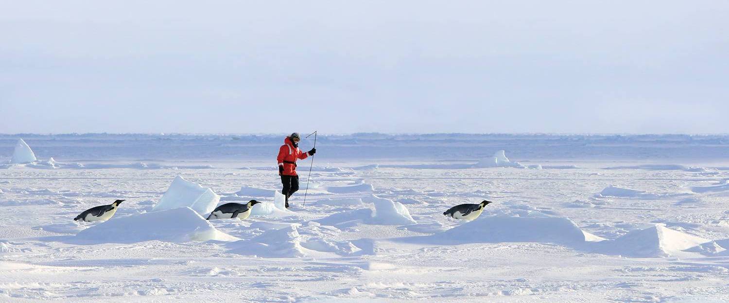 research in winter suit on vast glacier