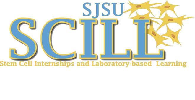 Scill Logo