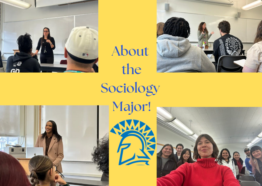 About the sociology major