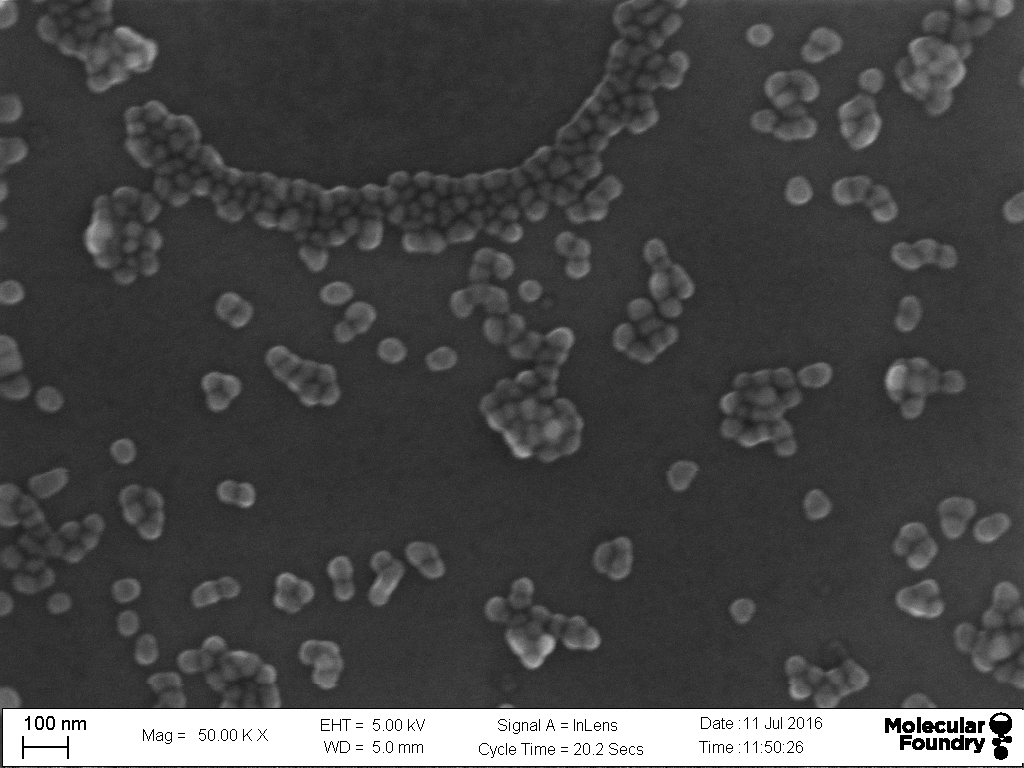 SiO2 nanoparticle SEM 